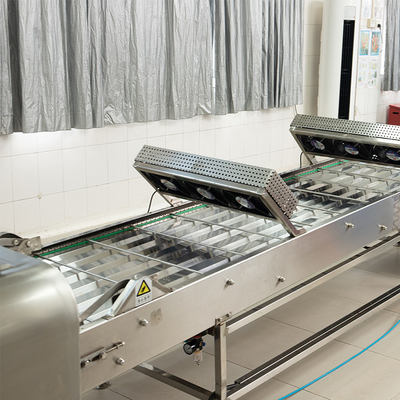 220V/380V 전원 공급 장치로 생산 라인을위한 마샬링 냉각 컨베이어
