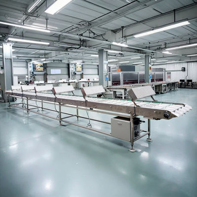 정밀하고 정확한 처리 사양을 위해 스테인리스 스틸 설탕 콩 처리 기계