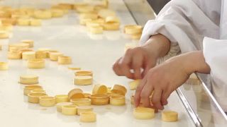 자동 시큼한 포탄 생산 라인